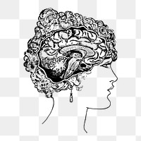 Woman's brain png portrait, medical vintage illustration, transparent background. Free public domain CC0 image.