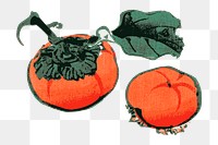 Persimmon png sticker vintage fruit illustration, transparent background. Free public domain CC0 image.