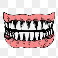 Human teeth png, vintage dental illustration, transparent background. Free public domain CC0 image.