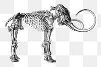 Mammoth fossil png sticker animal illustration, transparent background. Free public domain CC0 image.