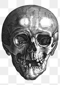 Skull png sticker, evil hand drawn illustration, transparent background. Free public domain CC0 image.