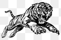 Tiger png sticker, predator animal hand drawn illustration, transparent background. Free public domain CC0 image.