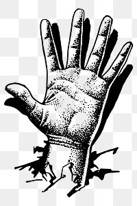 Vintage palm png sticker, hand illustration, transparent background. Free public domain CC0 image.