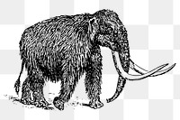 Mammoth png sticker, extinct animal hand drawn illustration, transparent background. Free public domain CC0 image.