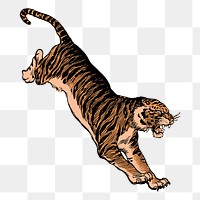 Jumping tiger png sticker, animal illustration, transparent background. Free public domain CC0 image.