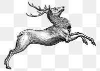 Leaping reindeer png sticker, animal hand drawn illustration, transparent background. Free public domain CC0 image.