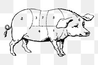 Pork diagram png sticker, pig hand drawn illustration, transparent background. Free public domain CC0 image.