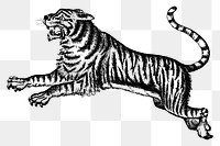 Jumping tiger png sticker, predator animal hand drawn illustration, transparent background. Free public domain CC0 image.