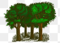 Trees png sticker forest illustration, transparent background. Free public domain CC0 image.