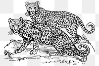 Leopards png clipart, animal hand drawn illustration, transparent background. Free public domain CC0 image.