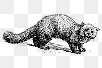 Marten png clipart, animal hand drawn illustration, transparent background. Free public domain CC0 image.