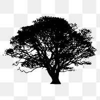 Gray tree png sticker nature silhouette, transparent background. Free public domain CC0 image.