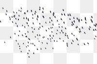 Flying birds png sticker animal silhouette, transparent background. 