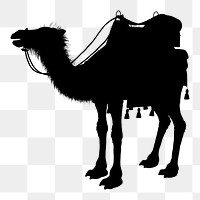 Camel png sticker animal silhouette, transparent background. Free public domain CC0 image.