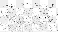 Flying birds png animal silhouette, transparent background. Free public domain CC0 image.