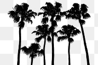 Palm trees png nature silhouette, transparent background. Free public domain CC0 image.