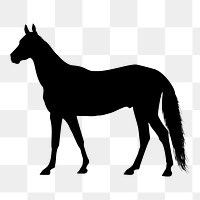 Horse png sticker animal silhouette, transparent background. Free public domain CC0 image.