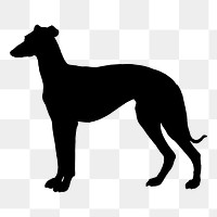 Greyhound dog png sticker animal silhouette, transparent background. Free public domain CC0 image.