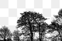 Trees silhouette png border, transparent background. Free public domain CC0 image.