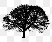 Oak tree png sticker nature silhouette, transparent background. Free public domain CC0 image.