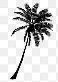 Palm tree png sticker nature silhouette, transparent background. Free public domain CC0 image.