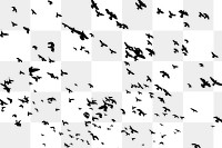 Flying birds png animal silhouette, transparent background. 