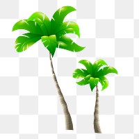 Palm tree png sticker, nature illustration on transparent background. Free public domain CC0 image.