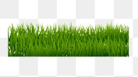 Grass bush png border sticker, nature clipart on transparent background. Free public domain CC0 image.