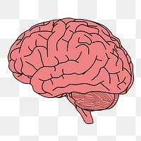 Human brain png sticker, cartoon illustration on transparent background. Free public domain CC0 image.