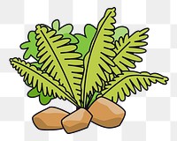 Leaf bush png sticker, botanical illustration on transparent background. Free public domain CC0 image.