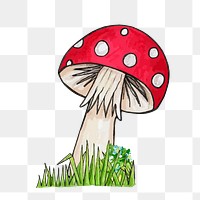 Mushroom png sticker, botanical illustration on transparent background. Free public domain CC0 image.