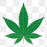 Cannabis leaf png sticker, botanical illustration on transparent background. Free public domain CC0 image.