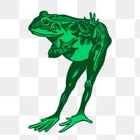 Green frog png sticker, animal illustration on transparent background. Free public domain CC0 image.