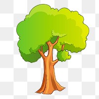 Large tree png sticker illustration, transparent background. Free public domain CC0 image.