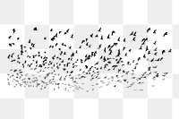 Flying birds png, abstract transparent background. Free public domain CC0 image.