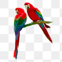 Parrot birds png sticker illustration, transparent background. Free public domain CC0 image.