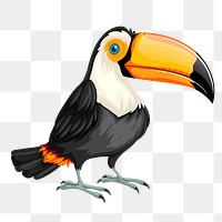 Toucan bird png sticker illustration, transparent background. Free public domain CC0 image.