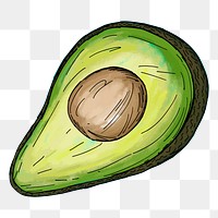 Avocado food png sticker, fruit hand drawn illustration, transparent background. Free public domain CC0 image.