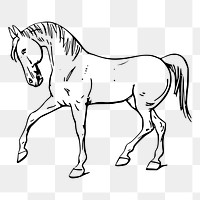 Walking horse sticker, hand drawn illustration, transparent background. Free public domain CC0 image.