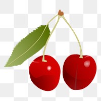 Realistic cherries png sticker illustration, transparent background. Free public domain CC0 image.