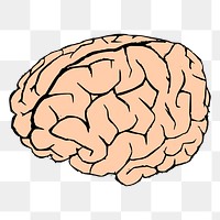 Human brain png sticker hand drawn illustration, transparent background. Free public domain CC0 image.