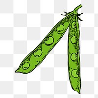 Sugar snap peas png, Japanese vegetable illustration, transparent background. Free public domain CC0 image.