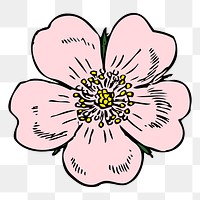 Blooming flower png sticker, vintage pink illustration, transparent background. Free public domain CC0 image.