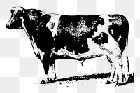 Cow png sticker, farm animal illustration, transparent background. Free public domain CC0 image.