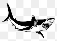 Shark png sticker vintage fish illustration, transparent background. Free public domain CC0 image.