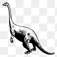 Dinosaur png sticker extinct animal illustration, transparent background. Free public domain CC0 image.