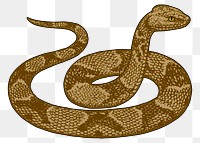 Snake png sticker vintage animal illustration, transparent background. Free public domain CC0 image.