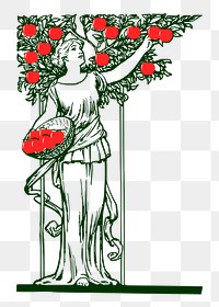 Woman picking apples png, vintage illustration, transparent background. Free public domain CC0 image.