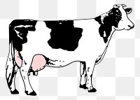 Dairy cattle png sticker farm animal illustration, transparent background. Free public domain CC0 image.