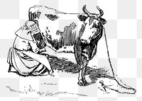 Woman milking cow png sticker vintage illustration, transparent background. Free public domain CC0 image.